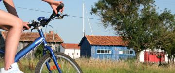 Vélo. Crédit : Île d'Oléron Marennes Tourisme