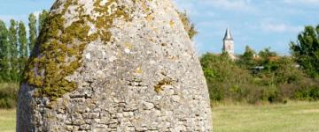 Les saloches. Crédit : Ile d'Oléron Marennes Tourisme