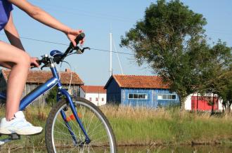 Vélo. Crédit : Île d'Oléron Marennes Tourisme