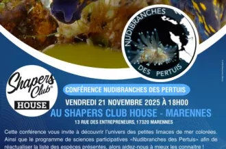Conférence - "Nudibranches des Pertuis"