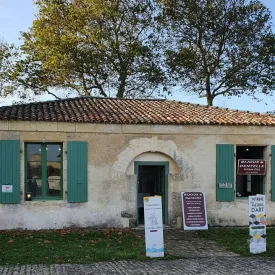 Atelier d'initiation à la dentelle aux fuseaux à Brouage_Marennes-Hiers-Brouage