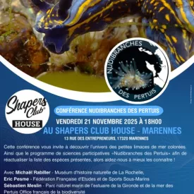 Conférence - "Nudibranches des Pertuis"