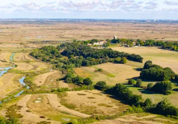La tour de Broue_Saint-Sornin