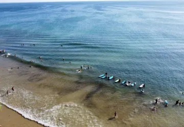 Pirate Surf School_Dolus-d'Oléron