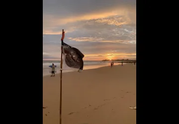 Pirate Surf School
