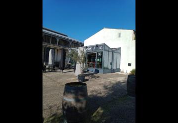 Brasserie Au Marché_Marennes-Hiers-Brouage