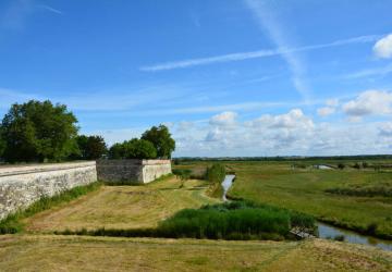 Marais de Brouage