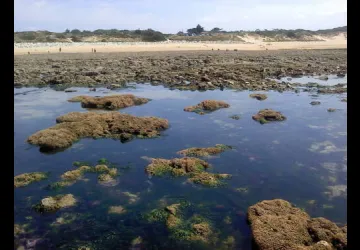 Maison de la Nature de l'île d'Oléron