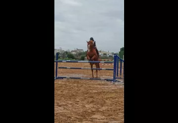 Centre saut