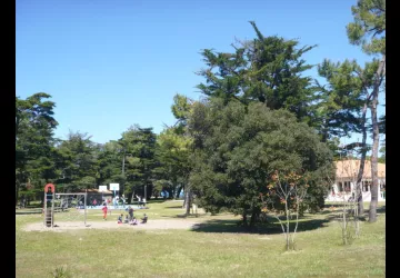 Parc