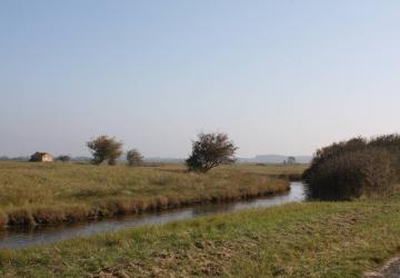 Marais de la Seudre