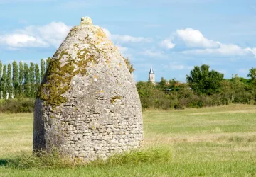 Circuit pédestre: Balade entre Petit Nieulle et Grand Nieulle_Nieulle-sur-Seudre