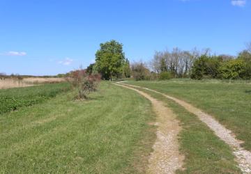 Balade, côté Luzac