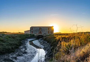 Visite du Moulin des Loges à la Lampe Torche