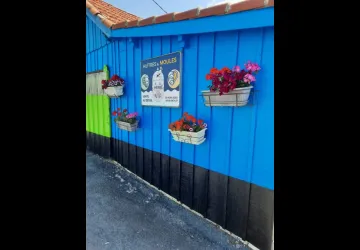 Ets Herbé Tomy_Marennes-Hiers-Brouage