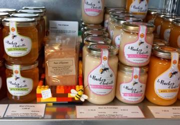 Safran de Marennes_Marennes-Hiers-Brouage