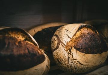 Le Fournil d'Hiers_Marennes-Hiers-Brouage