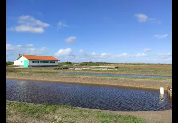 Les Perles du Marais - Tom Vergnaud_Marennes-Hiers-Brouage