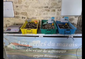 Les Perles du Marais - Point de vente_Marennes-Hiers-Brouage
