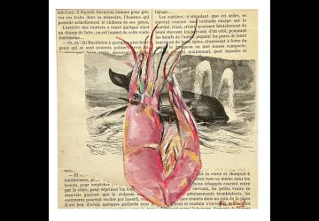 La galerie de Brouage_Marennes-Hiers-Brouage