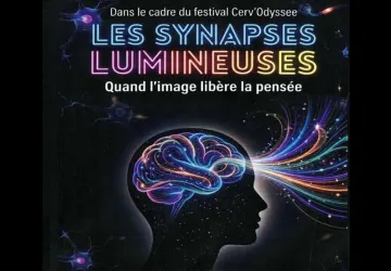 Atelier "Les Synapses Lumineuses"_Marennes-Hiers-Brouage