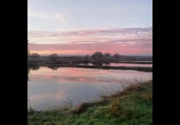 Ferme Marine d'Artouan_Saint-Just-Luzac
