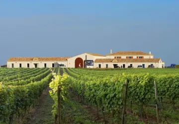 Vignoble Maxime PINARD_La Brée-les-Bains